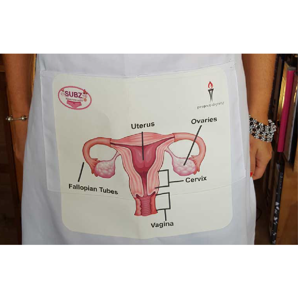 SUBZ Educational Apron